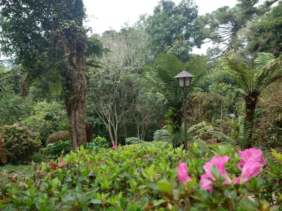 Pousada Estrela Da Serra Monte Verde  Εξωτερικό φωτογραφία