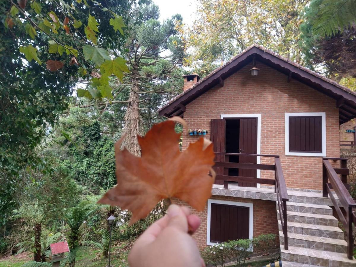 Pousada Estrela Da Serra Monte Verde  Εξωτερικό φωτογραφία