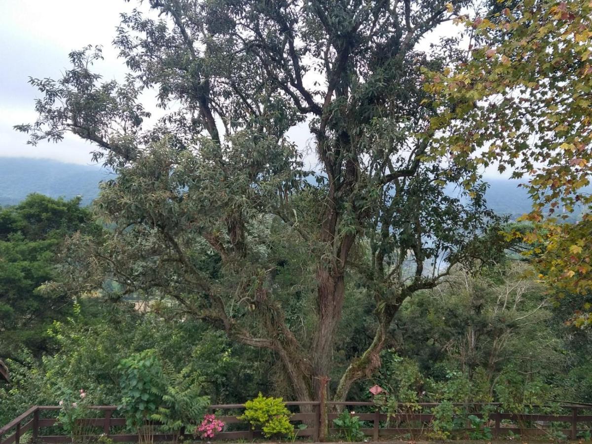 Pousada Estrela Da Serra Monte Verde  Εξωτερικό φωτογραφία