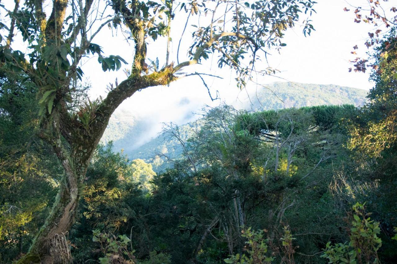 Pousada Estrela Da Serra Monte Verde  Εξωτερικό φωτογραφία